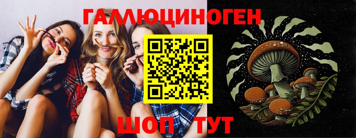 Псилоцибиновые грибы мицелий  Вход с VPN  Галлюциногенные грибы MAGIC MUSHROOMS  Лениногорск 