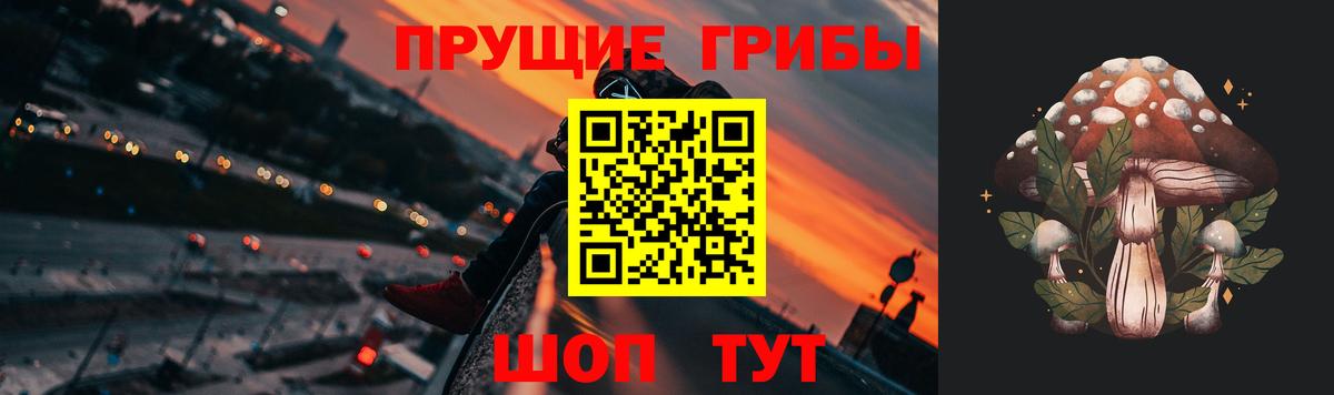 Псилоцибиновые грибы мицелий Лениногорск